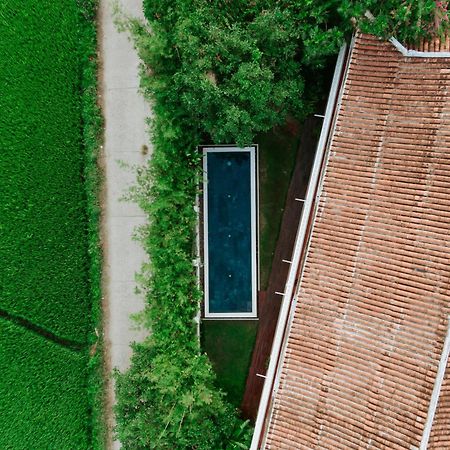 Heron House Hội An Kültér fotó
