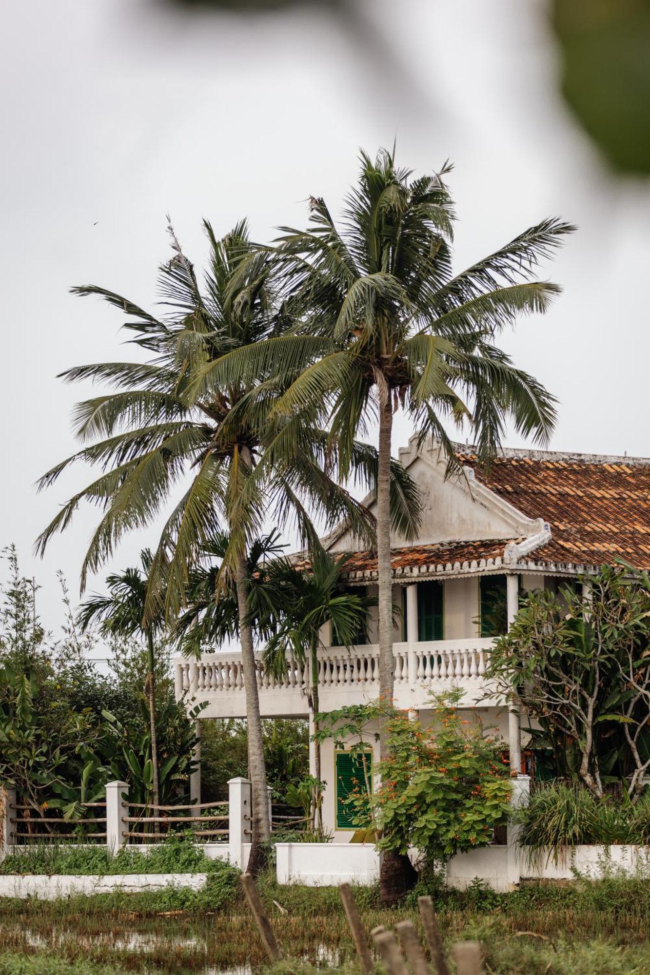 Heron House Hội An Kültér fotó