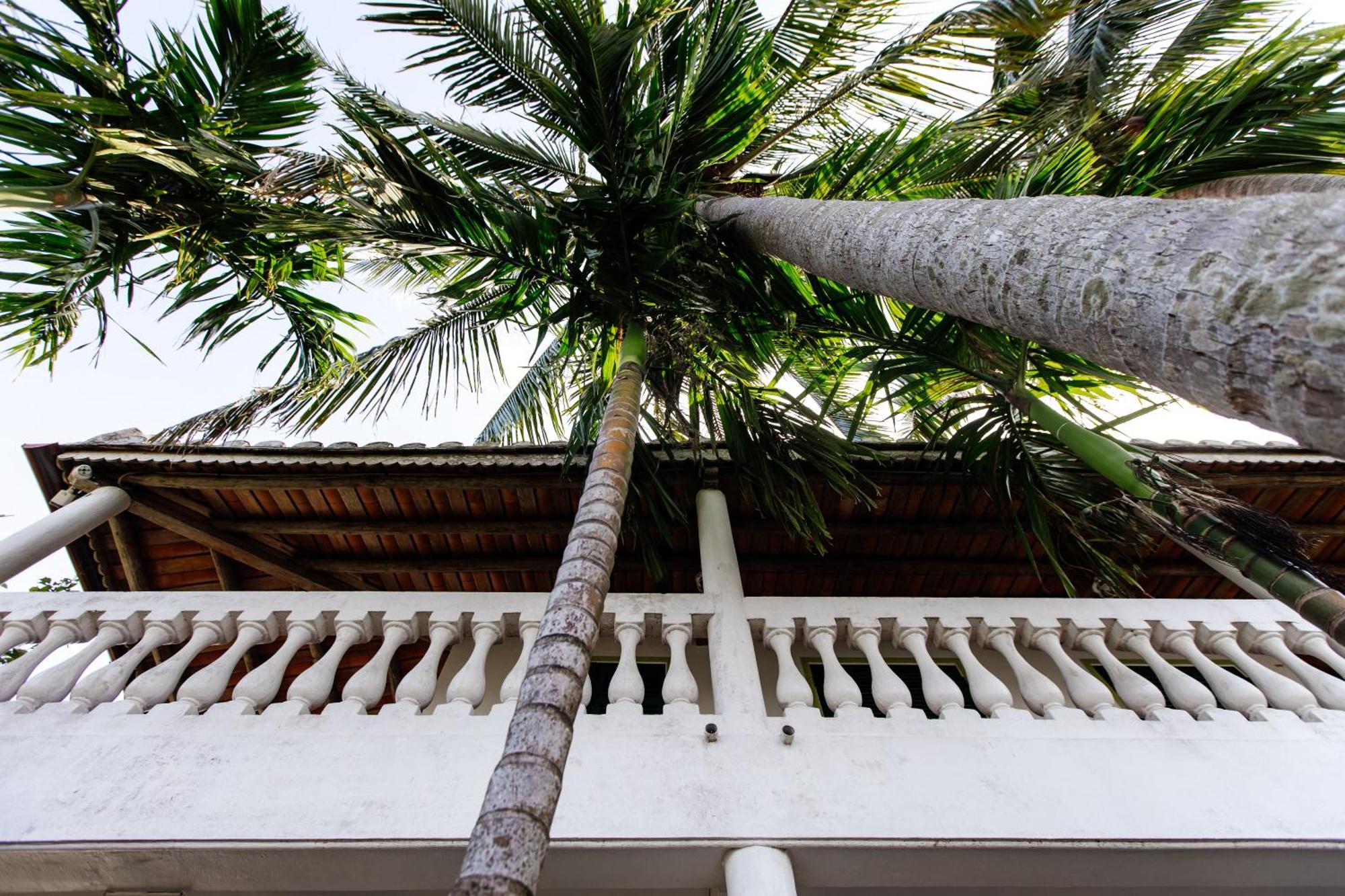 Heron House Hội An Kültér fotó